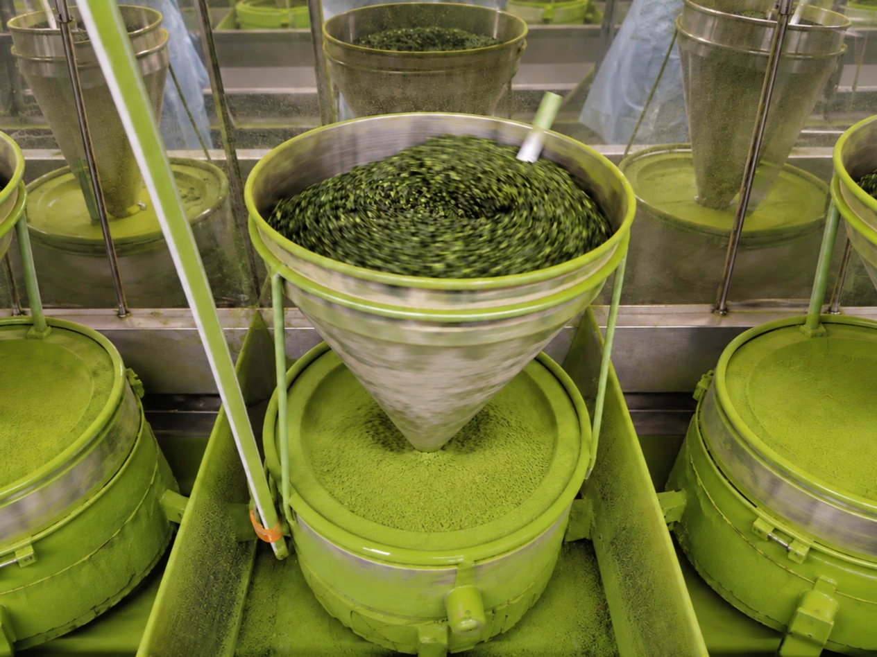 Traditional stone grinding of green tea into matcha powder