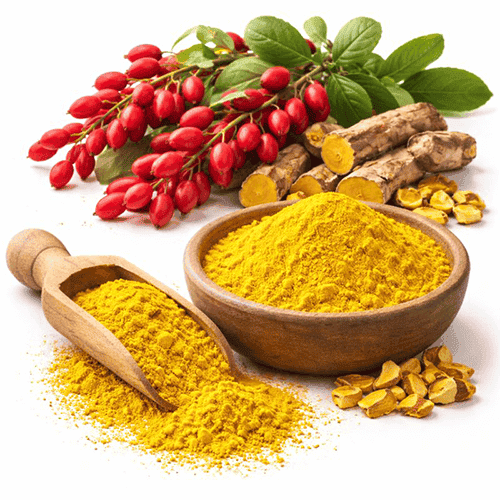 Berberine Extract 1 Extracto de berberina