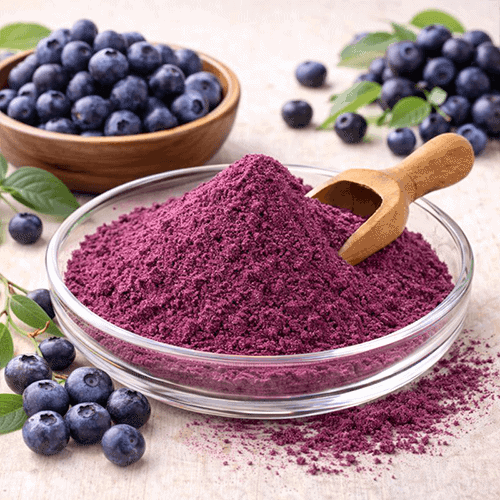 Bilberry Powder 1 ビルベリーパウダー