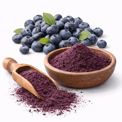 Blueberry Extract 1 Heidelbeer-Extrakt