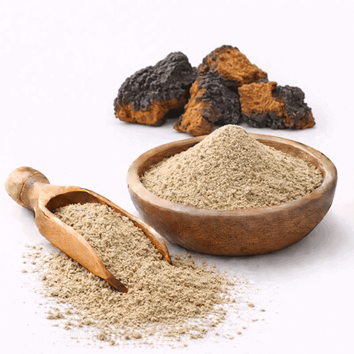Chaga Mushroom Extract