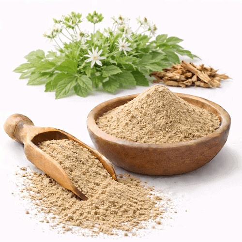 Coptis Extract 1 مستخلص القبطي