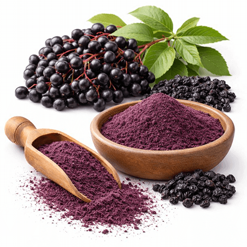 Elderberry Extract 1 エルダーベリーエキス