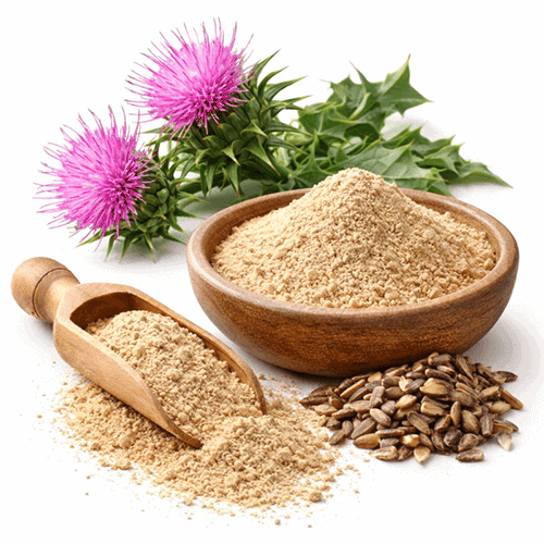 Milk Thistle Extract 1 Экстракт расторопши