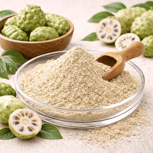 Noni Fruit Powder 1 Noni-Frucht-Pulver