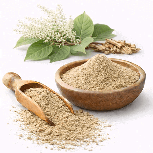 Polygonum Cuspidatum Extract 1 Extracto de Polygonum Cuspidatum