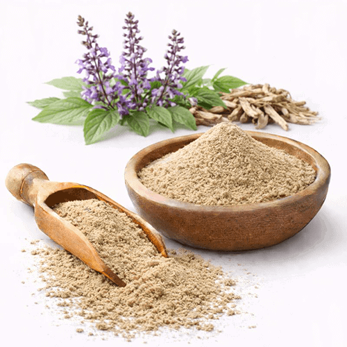 Salvia Miltiorrhiza Extract 1 Extracto de Salvia Miltiorrhiza