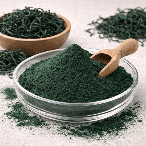 Spirulina in polvere