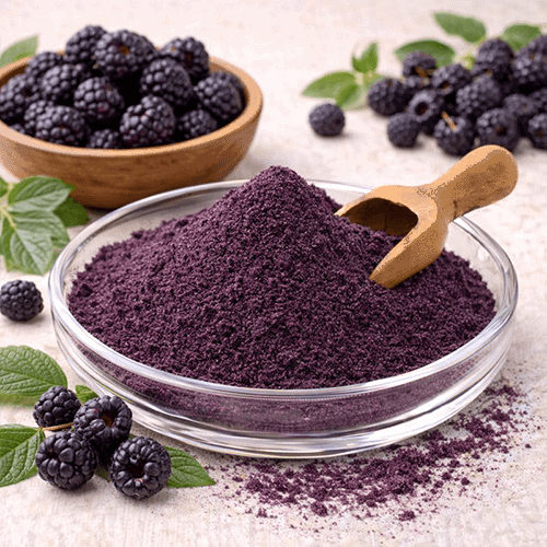 Black Raspberry Powder 1 Schwarzes Himbeer-Pulver