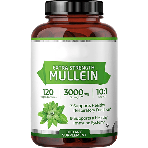 Mullein Capsules