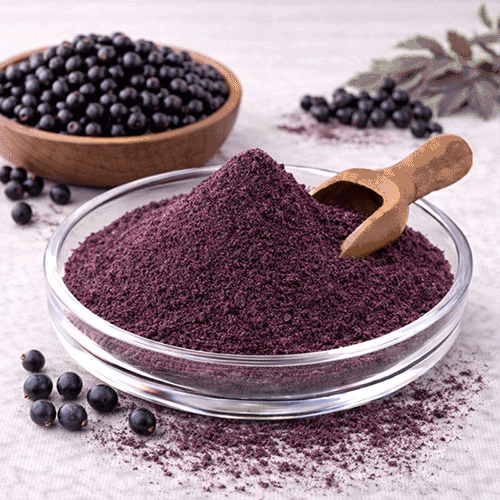 Elderberry Powder 1 エルダーベリー・パウダー