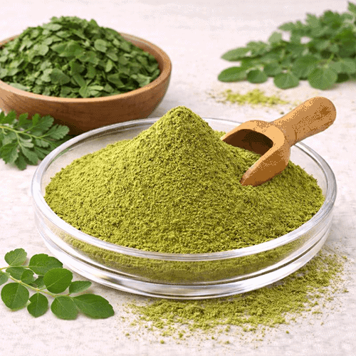 Moringa-Blatt-Pulver