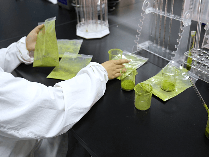 Batch review and matcha ingredient quality evaluation for nutraceutical production